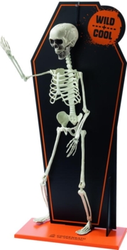 Kolli: 1 Giant Spider on Cardboard Box (advertising material) Wild + Cool Skeleton with backpanel