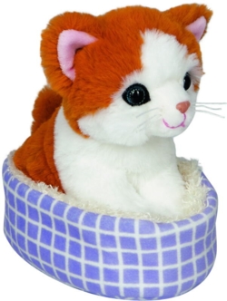 Kolli: 2 Cat in the basket