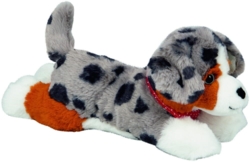 Kolli: 1 Australian Shepherd