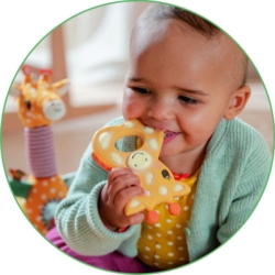 Kolli: 1 Presentation box natural rubber teething rings (3x4pcs) Baby Charms