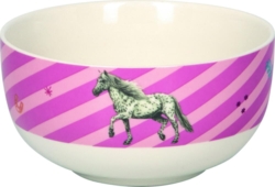 Kolli: 2 Cereal bowl Best Friends  Horse Friends