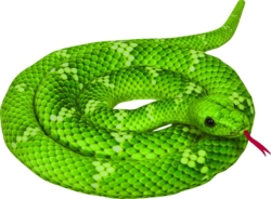 Kolli: 1 Tree python