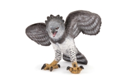 Kolli: 5 Fierce Harpy eagle