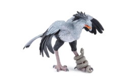 Kolli: 5 Serpent eagle