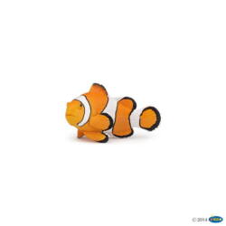 Kolli: 5 Clownfish
