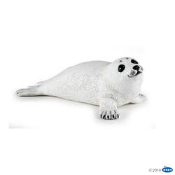 Kolli: 5 Baby seal