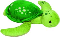 Kolli: 2 Turtle Joelle Tourlonias