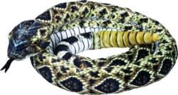 Kolli: 1 Rattlesnake  Nature Zoom