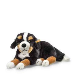 Kolli: 1 Senni Bernese mountain dog, black/brown/white