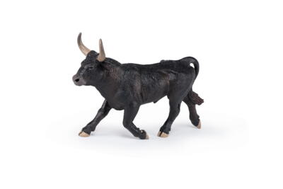 Kolli: 5 Camargue bull