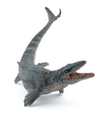 Kolli: 1 Mosasaurus