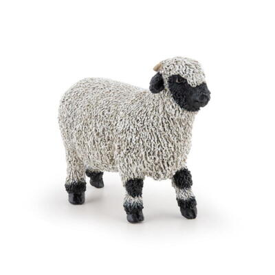 Kolli: 5 Valais Blacknose Sheep