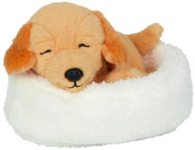 Kolli: 2 Sleeping dog Isi in the basket