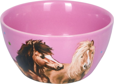 Kolli: 2 Cereal bowl Best Friends