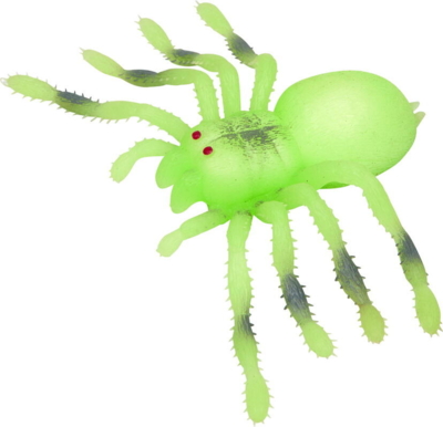 Fluorescent giant spider