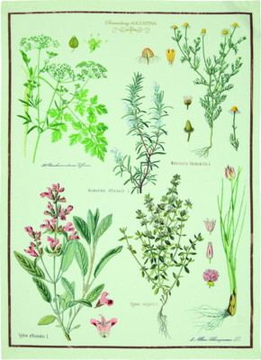 Tea towel herbs