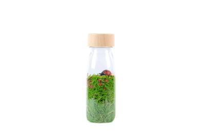 Kolli: 1 Ladybirds - Sensory Bottle