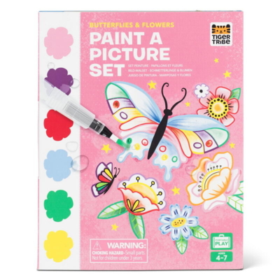 Paint A Picture Set - Butterflies & Flowers