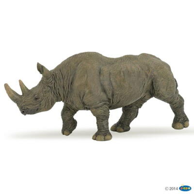 Kolli: 5 Black rhinoceros