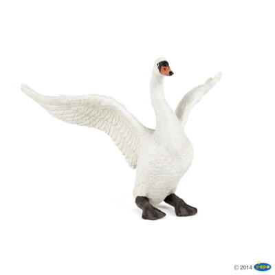 Kolli: 5 White swan