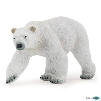 Kolli: 5 Polar bear
