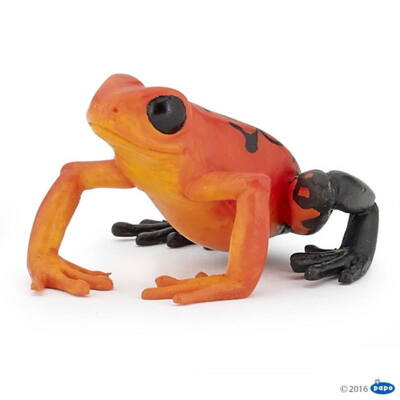 Kolli: 5 Equatorial Red frog