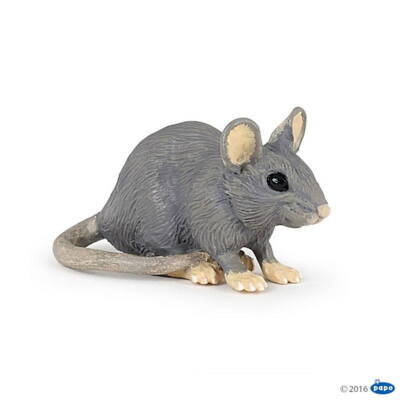 Kolli: 5 House mouse