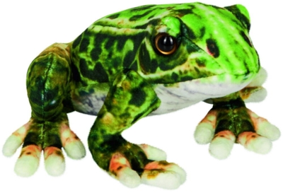 Kolli: 1 Frog