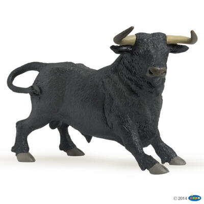 Kolli: 5 Andalusian bull