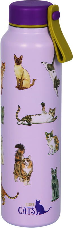 Kolli: 2 Vacuum flask I love cats