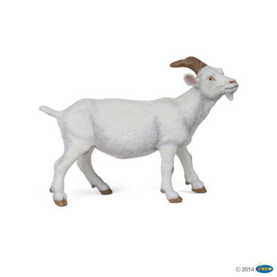 Kolli: 5 White nanny goat