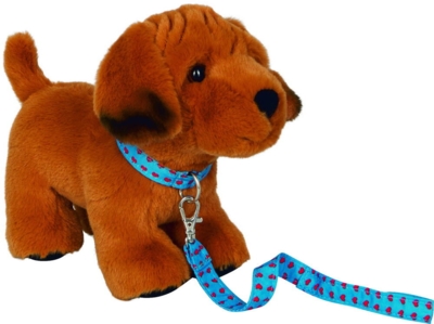 Kolli: 2 Puppy with lead