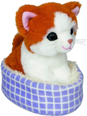 Kolli: 2 Cat in the basket