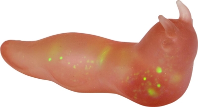 Kolli: 12 Squeeze slug Wild + Cool