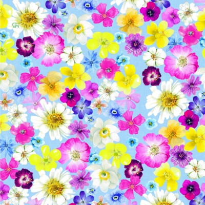 Kolli: 6 Paper napkins