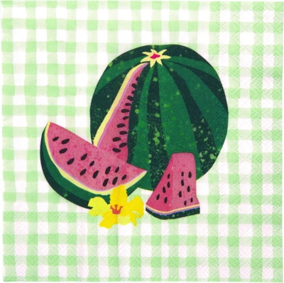 Kolli: 6 Paper napkins