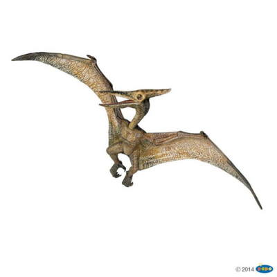 Kolli: 1 Pteranodon