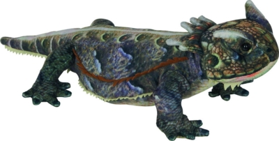 Kolli: 1 Horned lizard