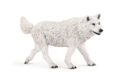 Kolli: 5 Artic wolf