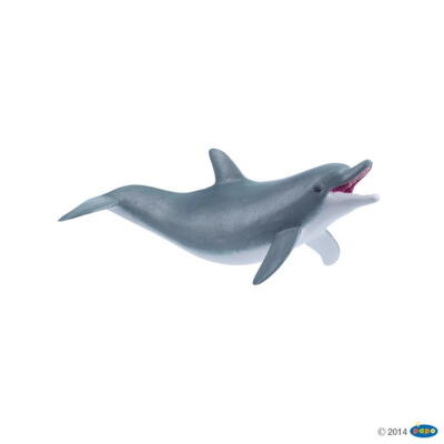 Kolli: 1 Playing dolphin