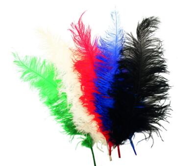 Kolli: 1 Ostrich feather black