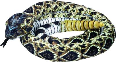 Kolli: 1 Rattlesnake  Nature Zoom