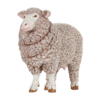 Kolli: 5 Merinos sheep