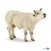 Kolli: 5 Charolais cow mooing