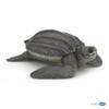 Kolli: 5 Leatherback turtle