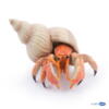 Kolli: 5 Hermit crab