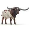 Kolli: 5 Longhorn bull