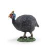 Kolli: 5 Guinea fowl