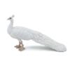Kolli: 5 White peacock