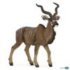 Kolli: 5 Great kudu